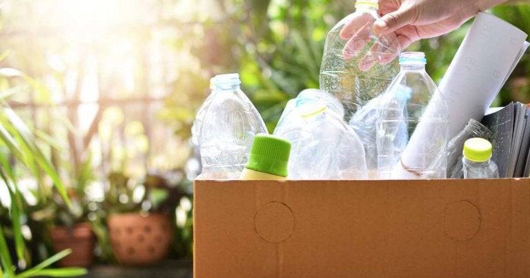 tips-reciclar-pasos-botellas.jpg__1440x2000_q70_subsampling-2